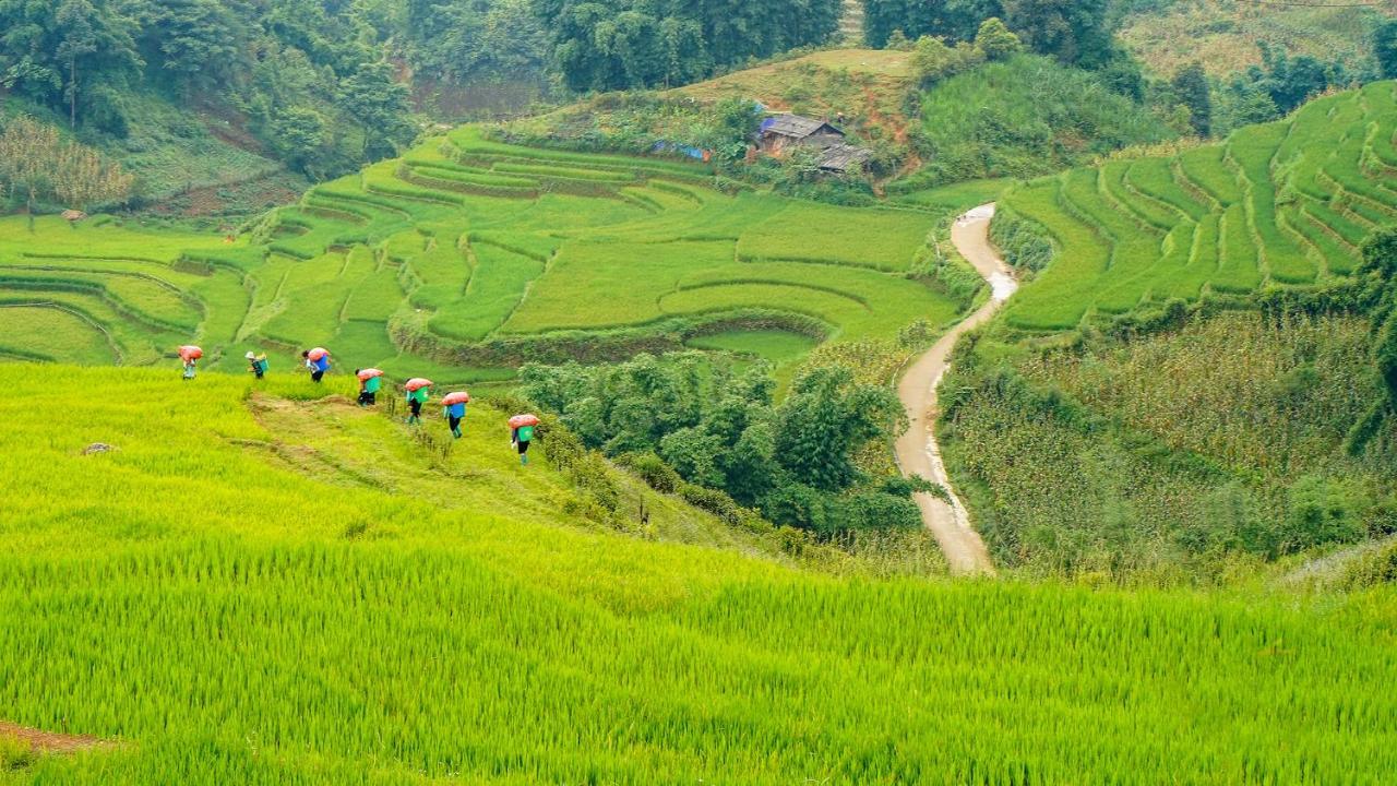 Sapa Fantasea Homestay 外观 照片