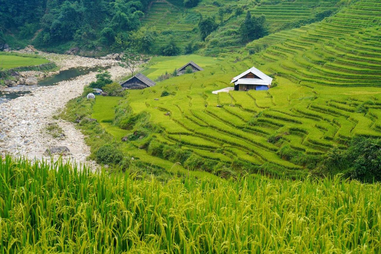 Sapa Fantasea Homestay 外观 照片
